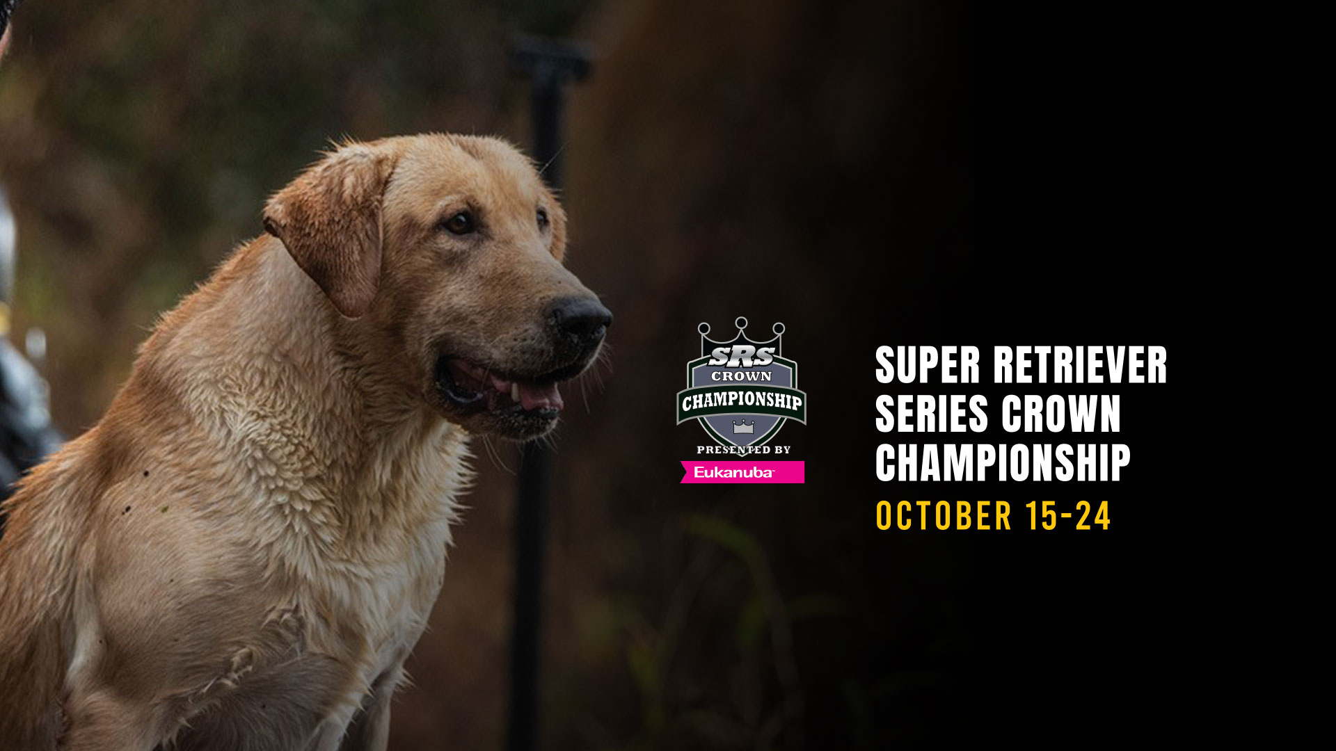 superretriever